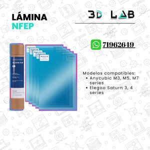 Lámina NFEP
